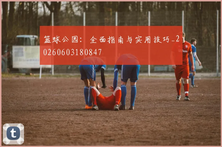篮球公园:全面指南与实用技巧_20260603180847