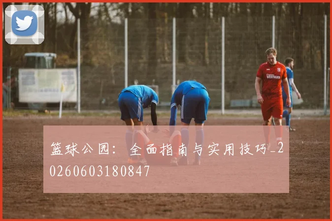 篮球公园：全面指南与实用技巧_20260603180847