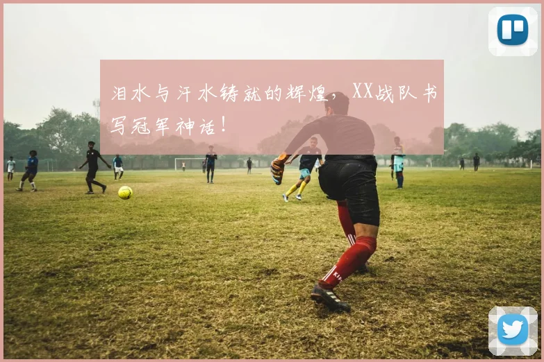 泪水与汗水铸就的辉煌，XX战队书写冠军神话！