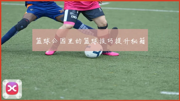 篮球公园里的篮球技巧提升秘籍