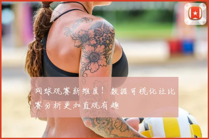 网球观赛新维度！数据可视化让比赛分析更加直观有趣